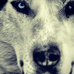 Daniel Griswold - @grizzly_gamer_boy - Instagram