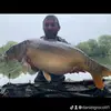 Daniel Grocott - @danielgrocott1 - TikTok