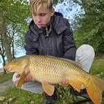 Daniël Groeneveld - @daniel.grnvld - Instagram