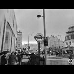 Daniel Grogan - @daniel_grogan142 - Instagram