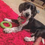danielgrogan - @daniel_grogan08 - Instagram