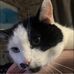 Daniel Grohmann - Facebook