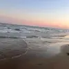 daniellegrohmann8 - @daniellegrohmann8 - TikTok