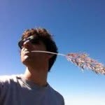 Daniel Groll - @mister_beans - Instagram