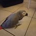 Daniel Grolleau - Facebook