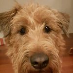 Daniël De Groot - @degroot.daniel - Instagram