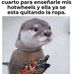 Daniel Groot - Facebook