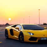 @danielgroot_ - Instagram