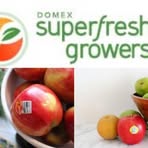 Superfresh Growers Stell - Facebook