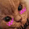 grüneroger - @danielgrosche - TikTok