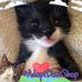 Daniel Groth - Facebook
