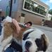 Daniel Grover - Facebook