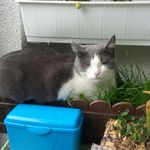 Daniel Grünwald - @slime_dani1700 - Instagram