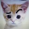 Daniel Guardado - @daniel.guardado96 - TikTok