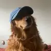 danielguardado_ - @danielguardado_ - TikTok