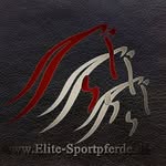 Daniel Guess - @elitesportpferde - Instagram