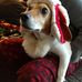 Dan Gulick - Facebook