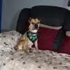 Danielle - @danielleguss14 - TikTok