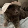 Daniel Hampton - @daniel_jh_ - TikTok