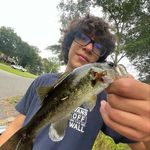 Daniel hanks - @danielhankss - Instagram