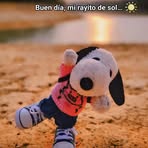 Daniel Hanners - Facebook