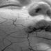 Daniel Happe - Facebook