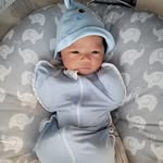 Daniel Lee - @daniel_harang_tiger - Instagram