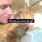 Daniel Hardman - @accordingtohenri - Instagram