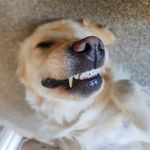 Daniel Hare - @danielhare256 - Instagram