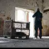 danielharig - @danielharig - TikTok