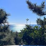 Daniel Harlow - @von_barronwhite - Instagram