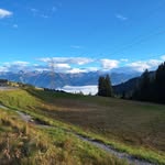 Daniel Hasler - @fidenself - Instagram