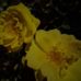 Daniel Hatch - Facebook