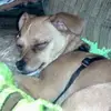 Daniel Hatten295 - @danielhatten73 - TikTok