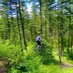 Daniel Hauck - @daniel_hauck_ - Instagram