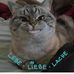 Daniel Hauck - Facebook