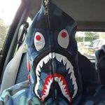 Daniel Hauck - @thetoxicgecko_123_yt - Instagram