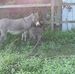 Daniel Hawk - Facebook