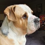 Daniel Hearn - @mrbrandofromaustralia - Instagram