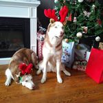 Daniel Hearn - @hearndj - Instagram