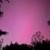 Danielle Heasley - @danielleheasley2020 - TikTok