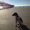 danielheckman709 - @danielheckman709 - TikTok