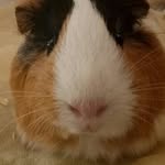 Daniel_H - @daniel_hedayati - Instagram