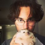 Daniel Hedgehog - @daniel_hedgehog66 - Instagram