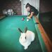 Daniel Hedman - Facebook