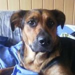 Daniel Heinemann - @heinemanndaniel73 - Instagram