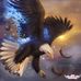 Daniel Heinemann - Facebook
