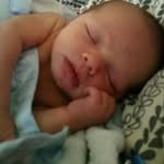 Daniel Helms - @daddy_dan_halen - Instagram