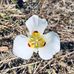 Daniel Hemmert - Facebook