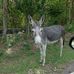 Daniel Hempfling - Facebook